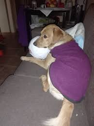 <em><strong>Carolina M.</strong></em>